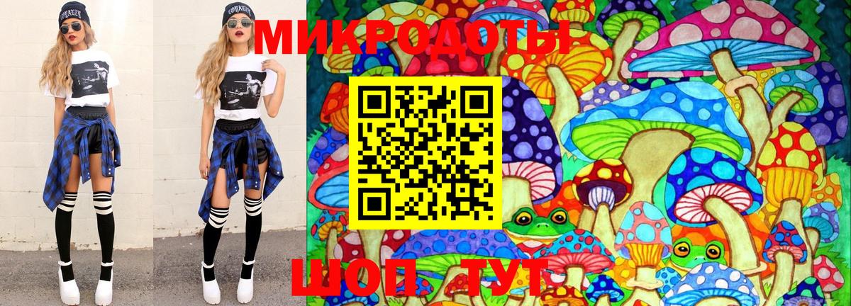 Псилоцибиновые грибы Psilocybine cubensis Тюмень
